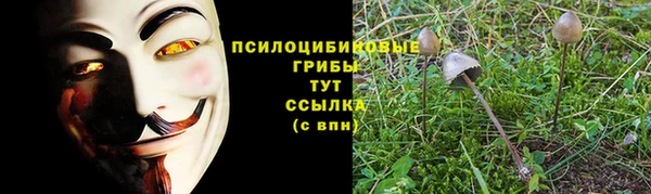 амф Белоозёрский