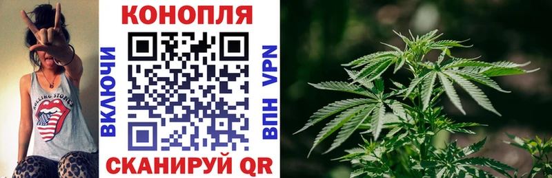 Бошки марихуана гибрид Берёзовский